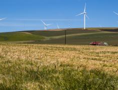 Agriculture and production of renewable energy in the Western Cape provi...